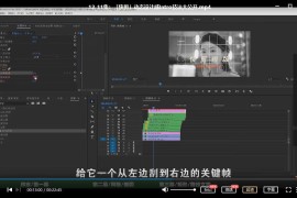 PR秘传技进阶剪辑
