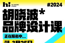 胡晓波42期品牌设计课2024