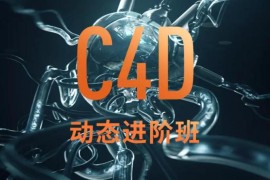 杨帆C4D动态班第五期2021年