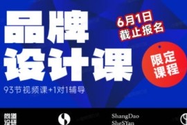 尚道设研 品牌设计课 2023【画质高清只有视频】