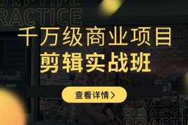 新片场学院《千万级商业项目剪辑实战班》做剪辑不在业余，价值7800元