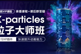 卓尔谟X-particles粒子大师班（2023.10完结）