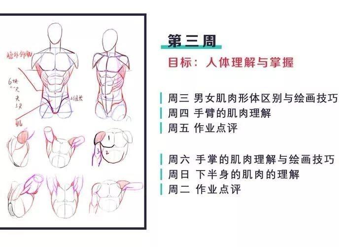 伊绘CG【厚涂系统角色班】 第11张