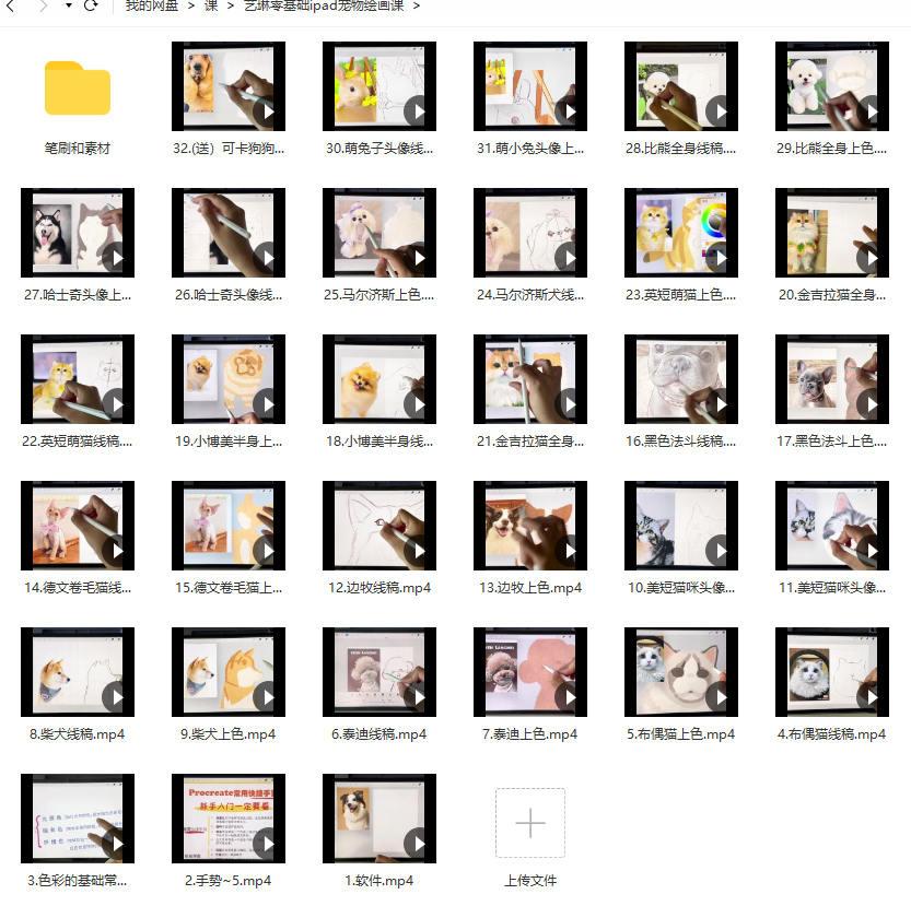 艺琳 零基础ipad宠物绘画课 2022年 第1张